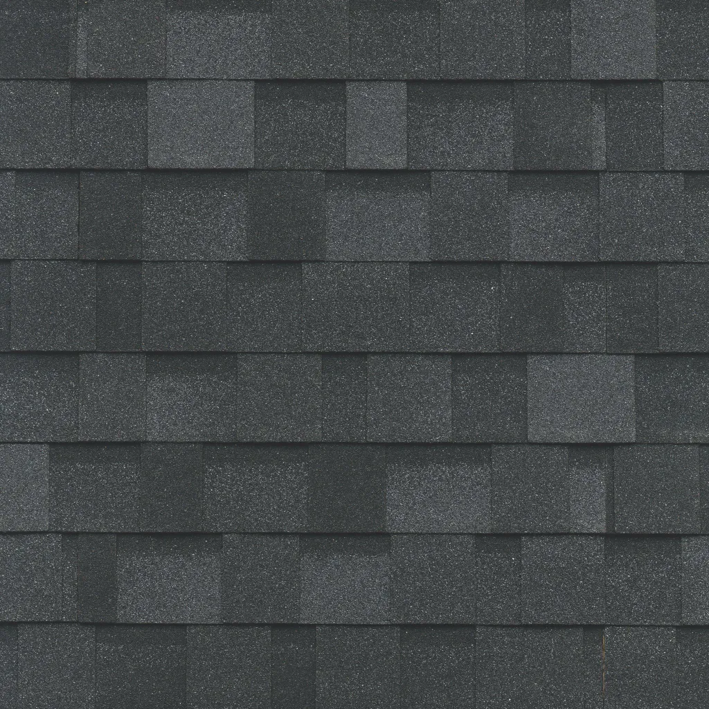 IKO Dynasty Granite Black shingle color sample